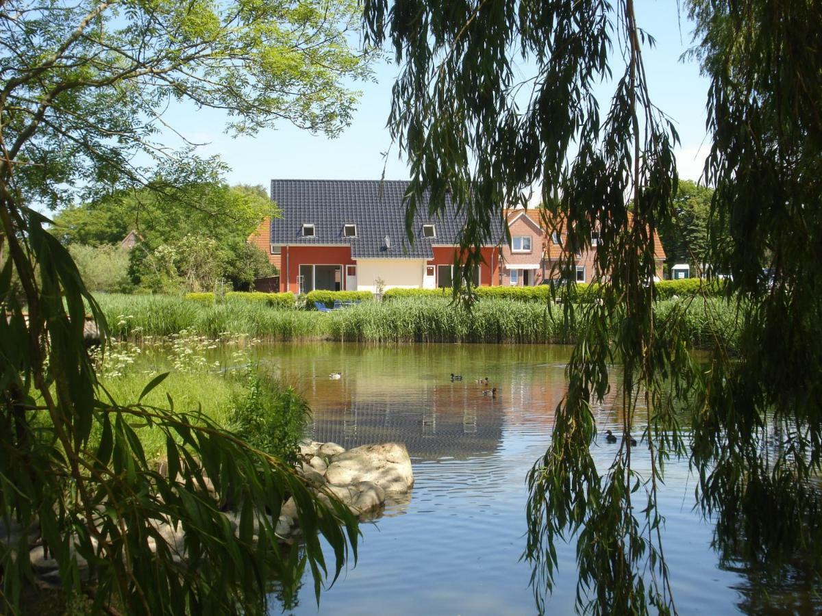Ferienhaus Seeschwalbe Fehmarn Esterno foto