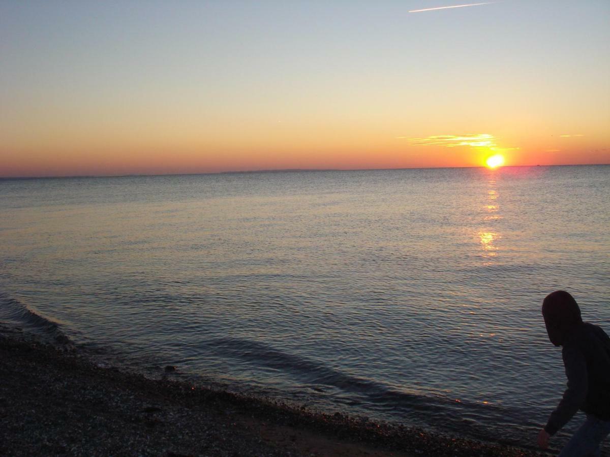 Ferienhaus Seeschwalbe Fehmarn Esterno foto